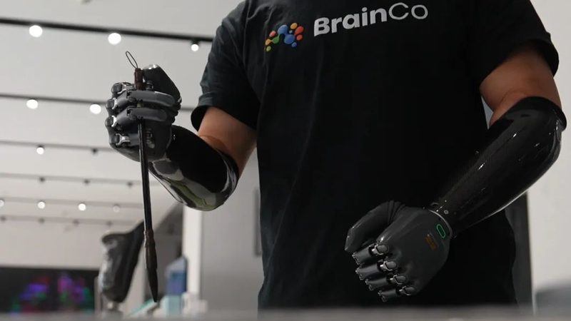 企业级搜索实时索引：揭秘其核心技术与排名因素